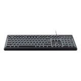 Trust Primo Beleuchtete tastiera Casa/Ufficio USB QWERTY US Inglese Nero