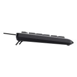 Trust Primo Beleuchtete tastiera Casa/Ufficio USB QWERTY US Inglese Nero