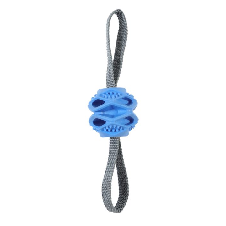 ZOLUX Ball TPR Outdoor Blu - Gioco per cane