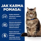 HILL'S PD Gastrointestinal Biome - dry cat food - 1 5 kg