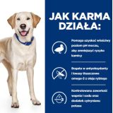 HILL'S PD D/D Food Sensitivities duck and rice - dry dog food - 4kg