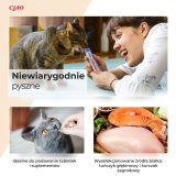 INABA Churu Pollo - snack per gatti - 4x14 g