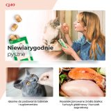 INABA Churu Bites Pollo con tonno e capasante - snack per gatti - 3x10 g