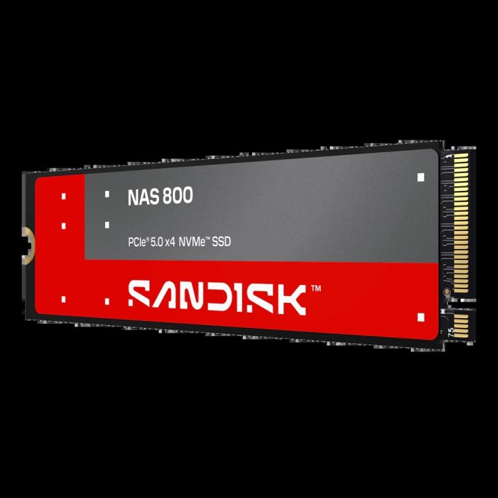 SanDisk NAS 800 960 GB M.2 PCIe 5.0 NVMe 3D TLC NAND