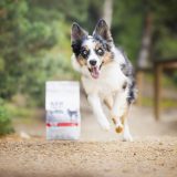 VETEXPERT Raw Paleo Ultra Medium&Large Puppy manzo - cibo secco per cuccioli - 10 kg