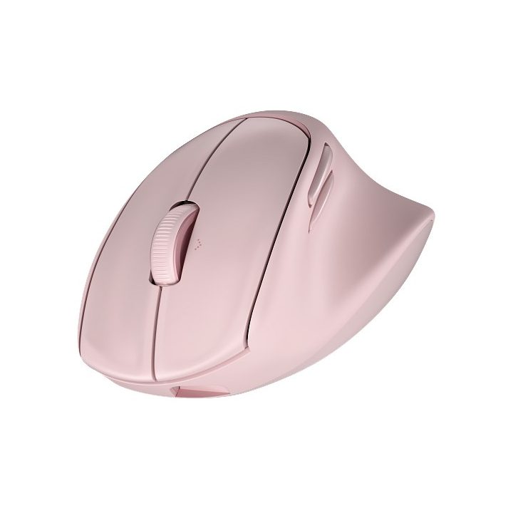 HP Tilt Ergo PNK MSE 720M EMEA-INTL EN L mouse Right-hand RF Wireless + Bluetooth 6000 DPI