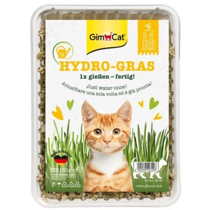 GIMCAT Hydro-Gras erba - snack per gatti – 150g