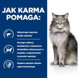 HILL'S Prescription Diet Liver Care - dry cat food - 1 5kg