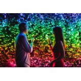 TWINKLY Strings 250 (TWS250STP-BEU) Luci natalizie intelligenti per albero 250 LED RGB 20 m
