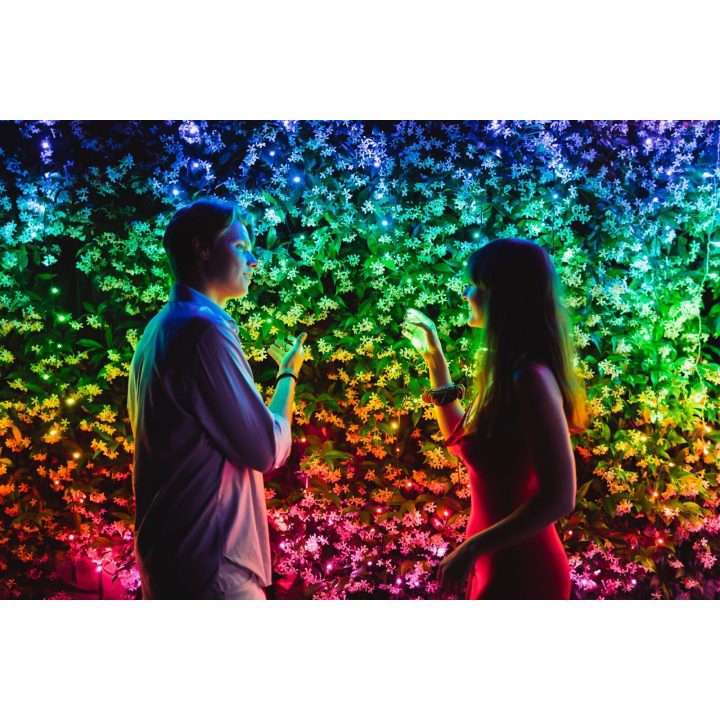 TWINKLY Strings 250 (TWS250STP-BEU) Luci natalizie intelligenti per albero 250 LED RGB 20 m