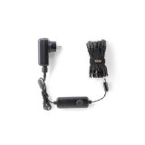 TWINKLY Strings 100 (TWS100STP-BEU) Luci natalizie intelligenti per albero 100 LED RGB 8 m