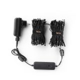 TWINKLY Strings 250 Edizione Speciale (TWS250SPP-BEU) Luci natalizie intelligenti per albero 250 LED RGB+W 20 m