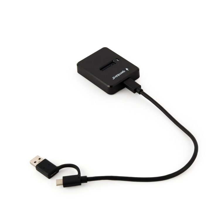 Gembird DD-U3M2 Stazione di aggancio drive storage USB 3.2 Gen 1 (3.1 Gen 1) Type-C Nero
