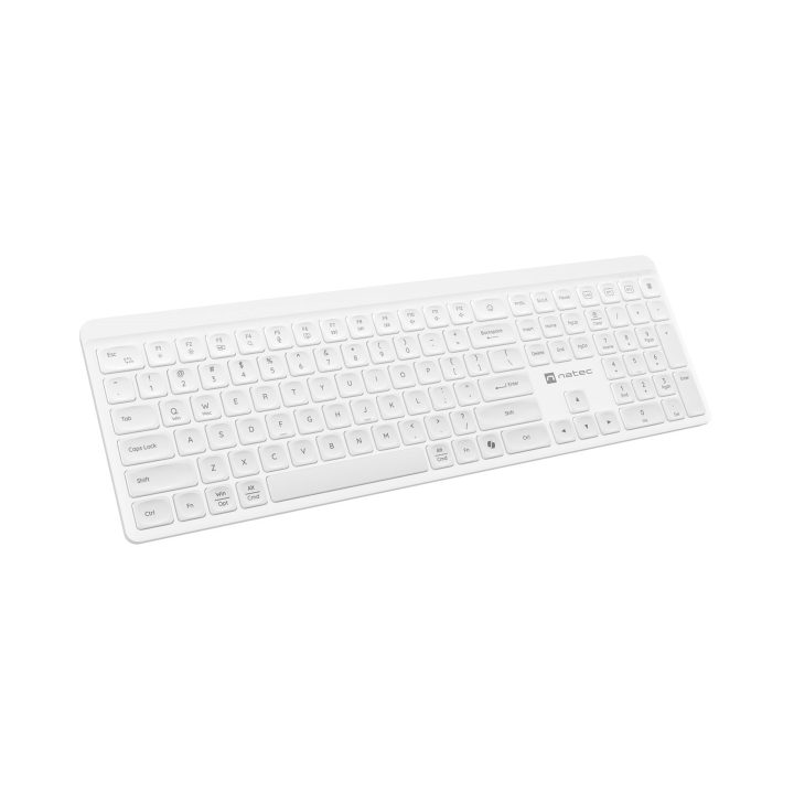 Natec Tang US tastiera wireless BT + 2.4 GHz silenziosa slim bianco