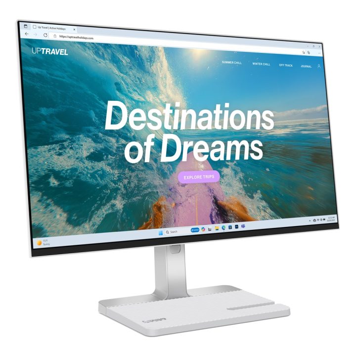 Lenovo L24D-4C computer monitor 60.5 cm (23.8 ) 1920 x 1080 pixels Full HD LCD Grey