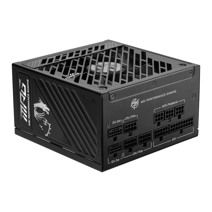 MSI MPG A1250GS 1250W PCIE5 80+ Gold power supply (306-7ZPFX11-CE0)