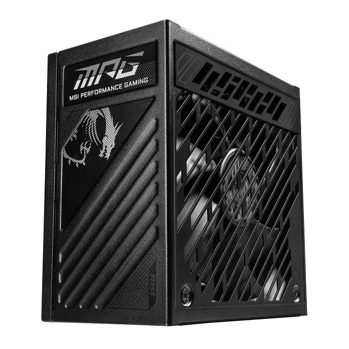 MSI MPG A1250GS 1250W PCIE5 80+ Gold power supply (306-7ZPFX11-CE0)