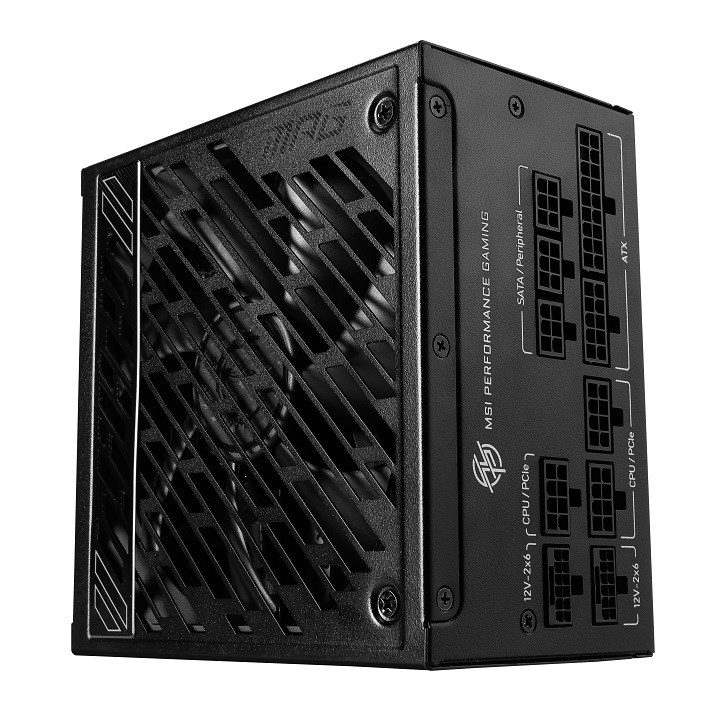 MSI MPG A1250GS 1250W PCIE5 80+ Gold power supply (306-7ZPFX11-CE0)