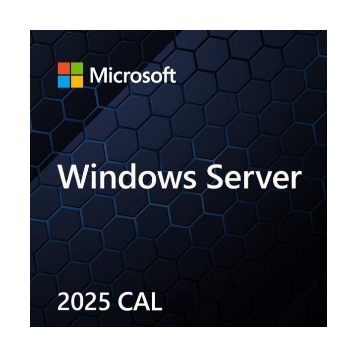 Microsoft Windows Server CAL 2025 Client Access License (CAL) 1 license(s)