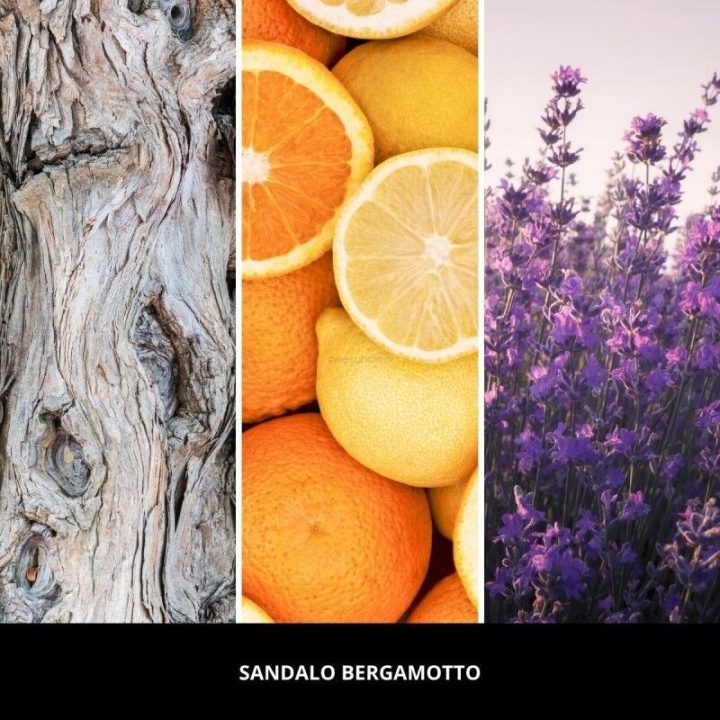 Car Air Freshener ORANGE SANDALO BERGAMOTTO MILLEFIORI
