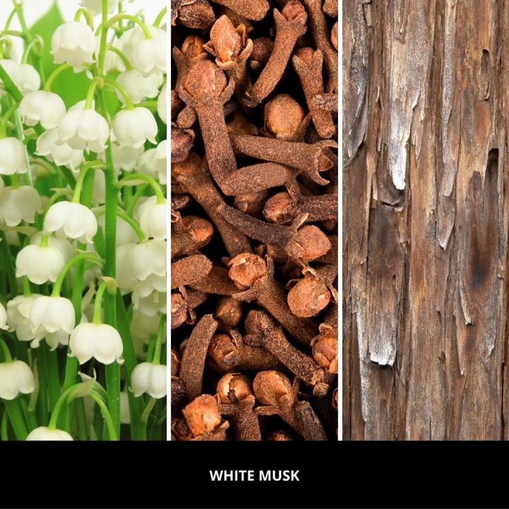 Refill for reed diffuser 250 ml WHITE MUSK MILLEFIORI