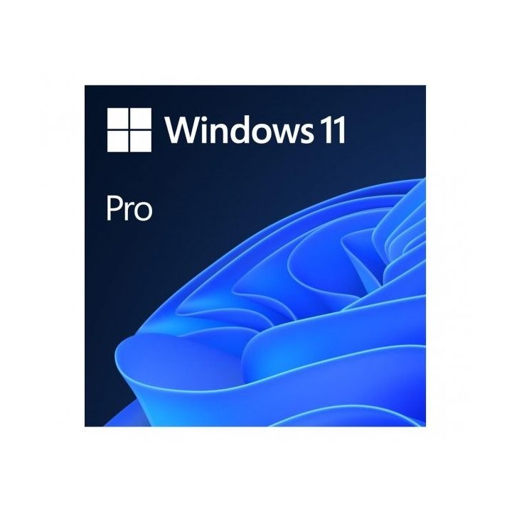 Microsoft Windows 11 Pro 1 license(s)
