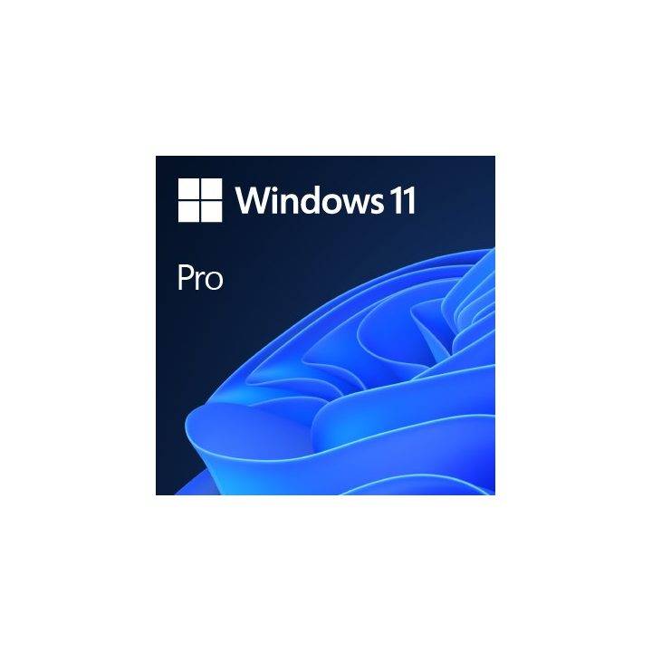 Microsoft Windows 11 Pro OEM