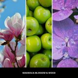 Car Air Freshener PINK - MAGNOLIA BLOSSOM & WOOD MILLEFIORI