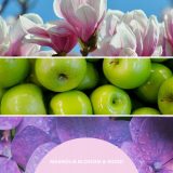Reed Diffuser Refill 250 ml MAGNOLIA BLOSSOM & WOOD MILLEFIORI