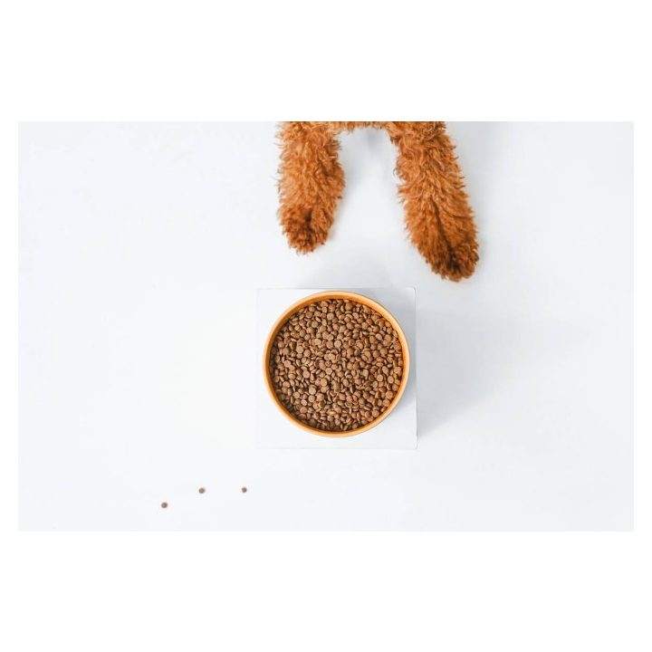 NATURE'S PROTECTION Superior Care Red Coat Adult Small breed Grain free Salmon - dry dog food - 10kg