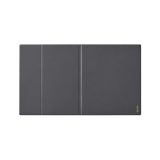 Onyx Boox Note Max Black magnetic case