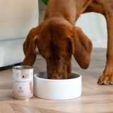PAKA ZWIERZAKA Pepe Vet Hypoallergenic Mono Horse - wet dog food - 400g