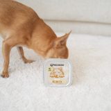 PAKA ZWIERZAKA Rabbit and boar with pumpkin - wet dog food - 150g