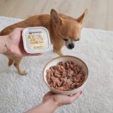 PAKA ZWIERZAKA Rabbit and boar with pumpkin - wet dog food - 150g