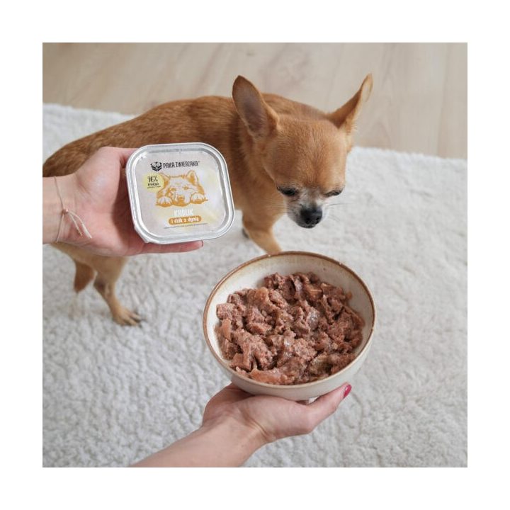 PAKA ZWIERZAKA Rabbit and boar with pumpkin - wet dog food - 150g