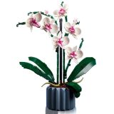 LEGO ICONS 10311 orchidea