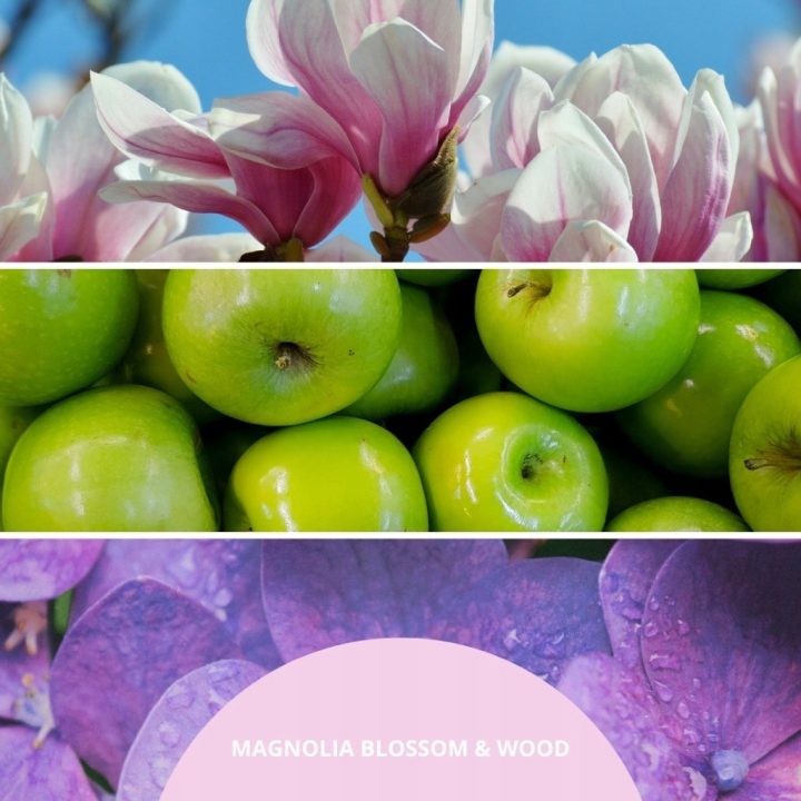 Reed Diffuser 250 ml MAGNOLIA BLOSSOM & WOOD MILLEFIORI