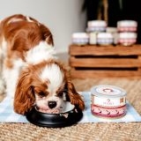 PERRO Junior Pork with carrot - wet dog food - 410g