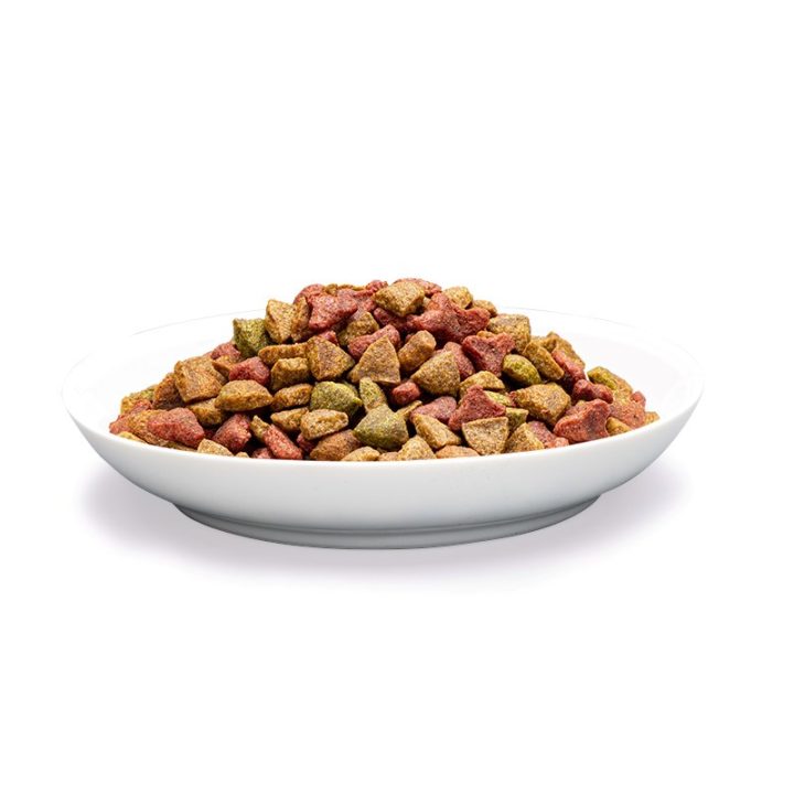 PREVITAL Senior Salmon - dry cat food - 1 4kg