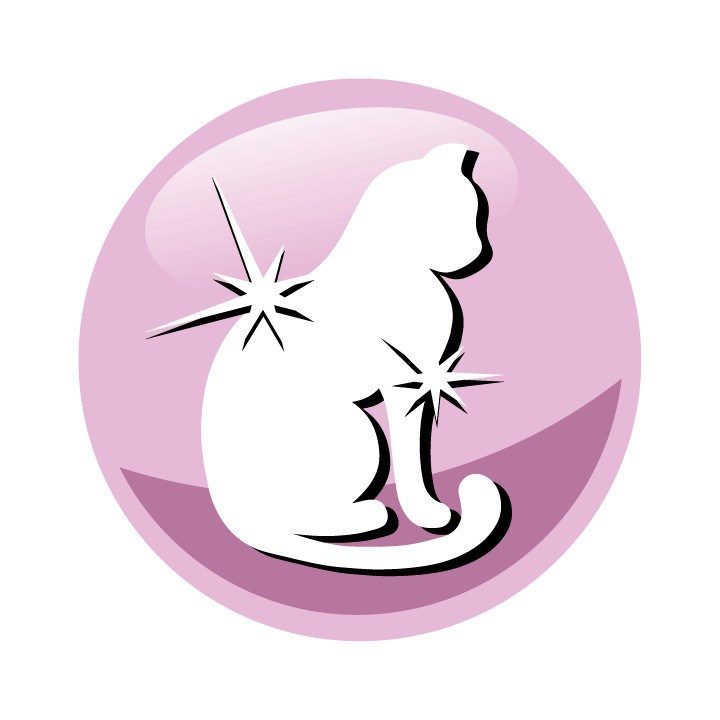 PREVITAL Senior Salmon - dry cat food - 1 4kg