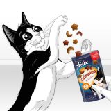 FELIX Crispies Beef Chicken - dry cat food - 45 g