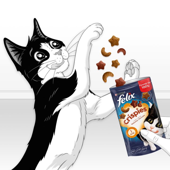 FELIX Crispies Beef Chicken - dry cat food - 45 g