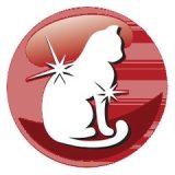 PREVITAL Cat Food Adult with Beef - Dry Cat Food - 1.4 kg