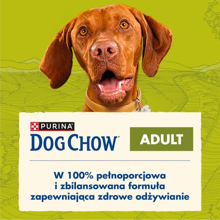 PURINA Dog Chow Adult Lamb - dry dog food - 14 + 2 5kg