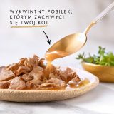 GOURMET Gold Sauce Delight Beef - wet cat food - 85 g