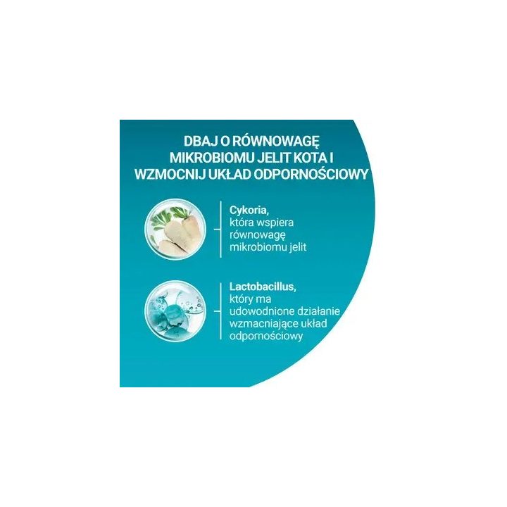 PURINA One Sterilcat Wołowina - dry cat food - 9 75kg