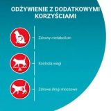 PURINA One Sterilcat Wołowina - dry cat food - 9 75kg