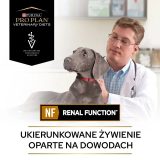 PURINA Pro Plan Veterinary Diets NF Renal Function - Wet dog food - 400 g