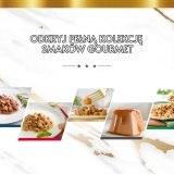 PURINA Gourmet Revelations Mousse with chicken in sauce - wet cat food - 2x57g