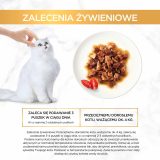 GOURMET GOLD - Casserole beef and chicken 85g
